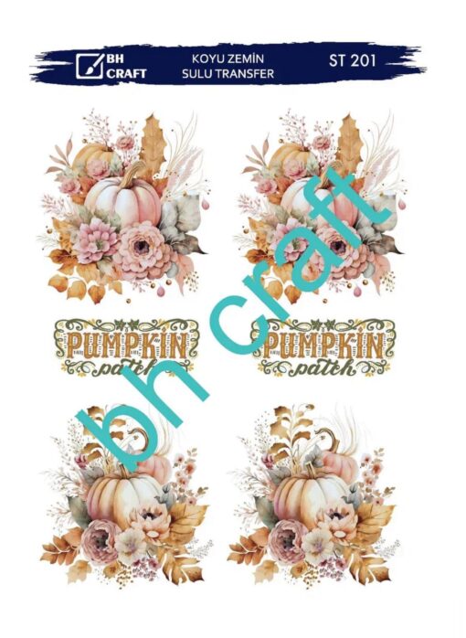 BH SERİ  KOYU ZEMİN SULU TRANSFER KAĞIDI ST-201