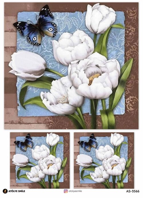 Atölye Smile Pirinç Dekolaj AS-3566