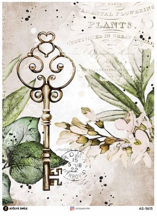 Atölye Smile Pirinç Dekopaj AS-3613