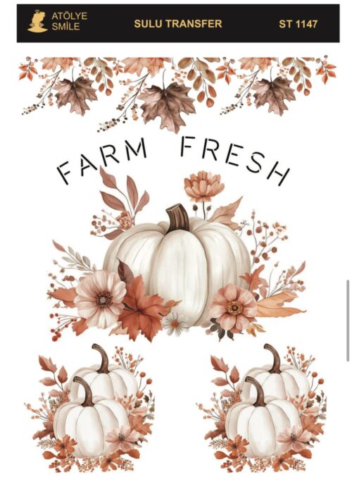 ATÖLYE SMİLE SULU TRANSFER ST-1147