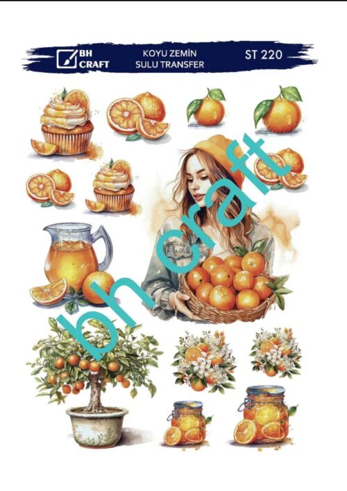 BH KOYU ZEMİN SULU TRANSFER ST-220