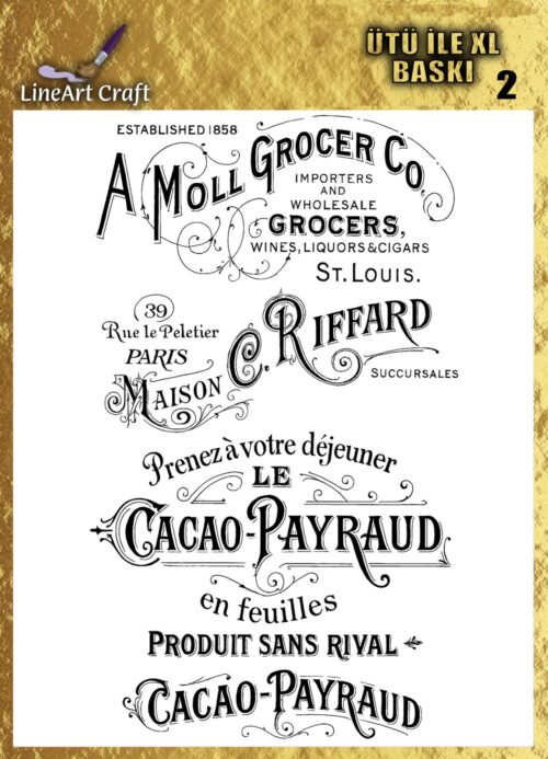 LİNEART ÜTÜ TRANSFER XL-02