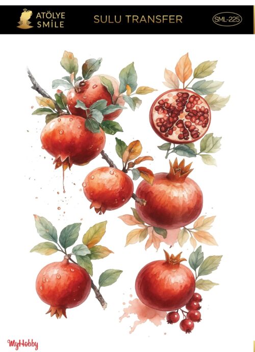 ATÖLYE SMİLE SULU TRANSFER Sml-225