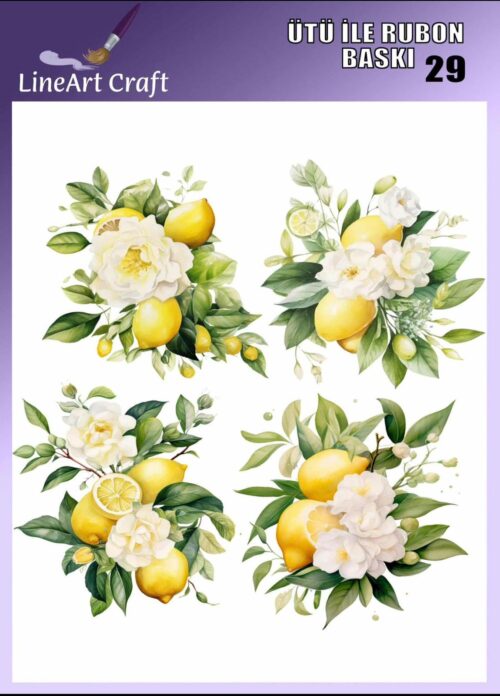 LİNEART ÜTÜ TRANSFER LNT 29