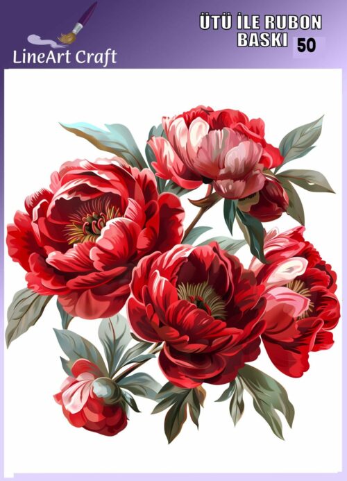 LİNEART ÜTÜ TRANSFER -50