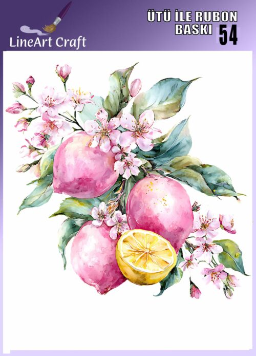 LİNEART ÜTÜ TRANSFER -54