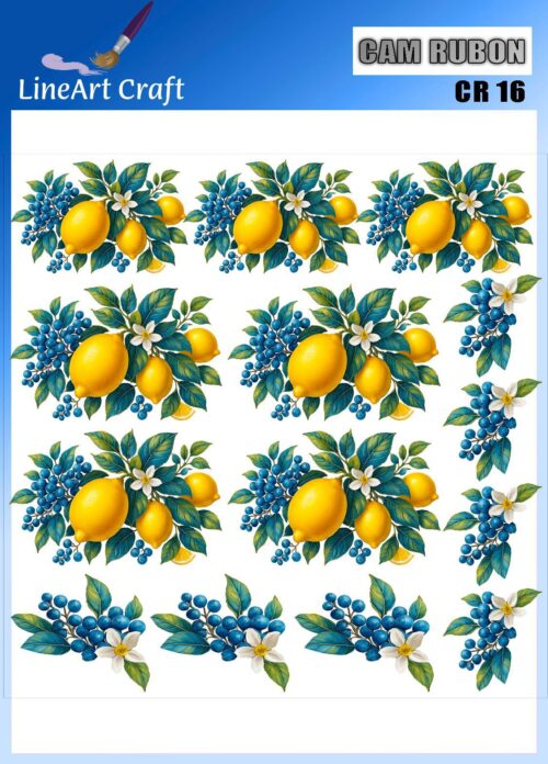 LİNEART CAMA TRANSFER-CR16