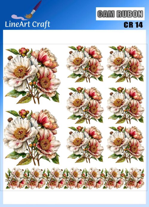LİNEART CAMA TRANSFER-CR14