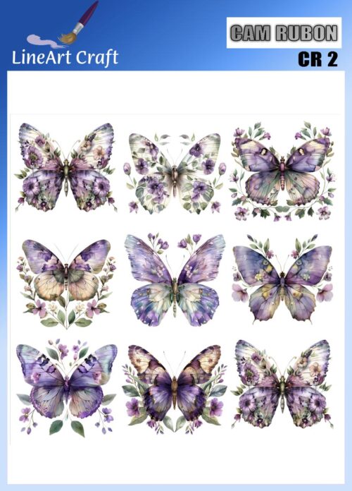 LİNEART CAMA TRANSFER-CR02