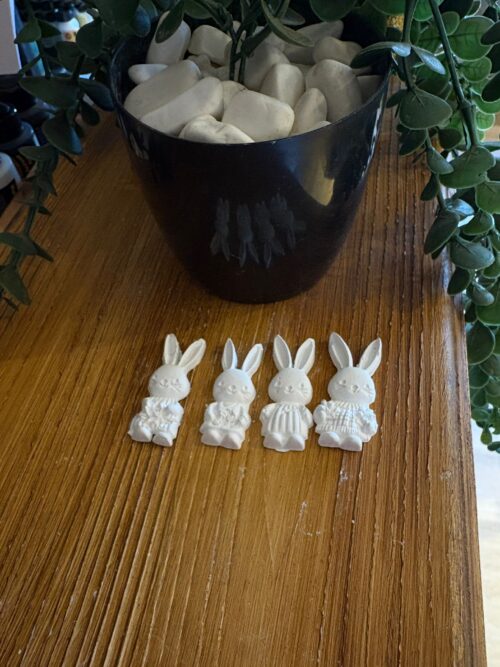 DÖRTLÜ MİNİ TAVŞAN