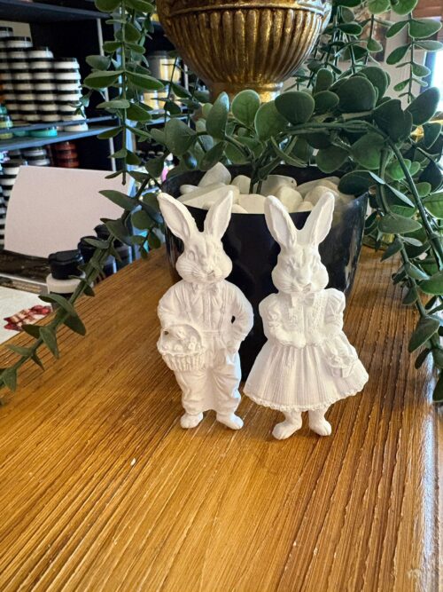 ERKEK KIZ TAVŞAN İKİLİ