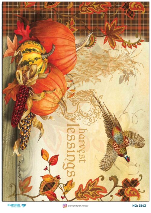 DİAMOND PİRİNÇDEKOPAJ -3543