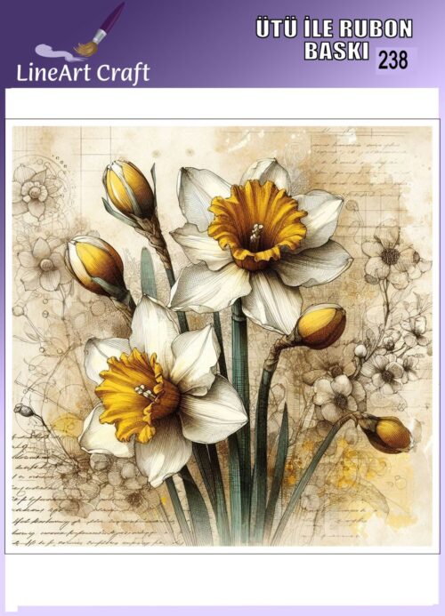 LİNEART ÜTÜ TRANSFER -238