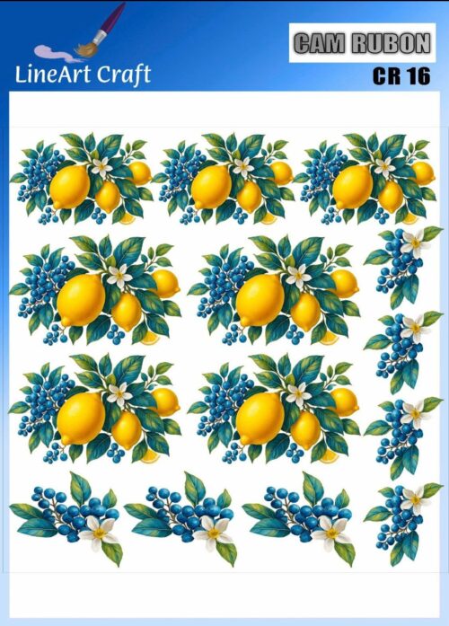 LİNEART CAMA TRANSFER-CR16