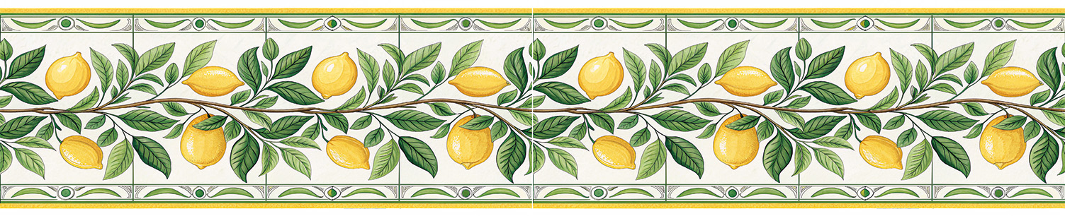 ÜTÜ İLE BORDÜR TRANSFER(5X150 CM)-RK 146 1 ÜTÜ İLE BORDÜR TRANSFER(5X150 CM)-RK 146