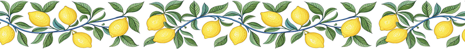 ÜTÜ İLE BORDÜR TRANSFER(5X150 CM)-RK 147 1 ÜTÜ İLE BORDÜR TRANSFER(5X150 CM)-RK 147