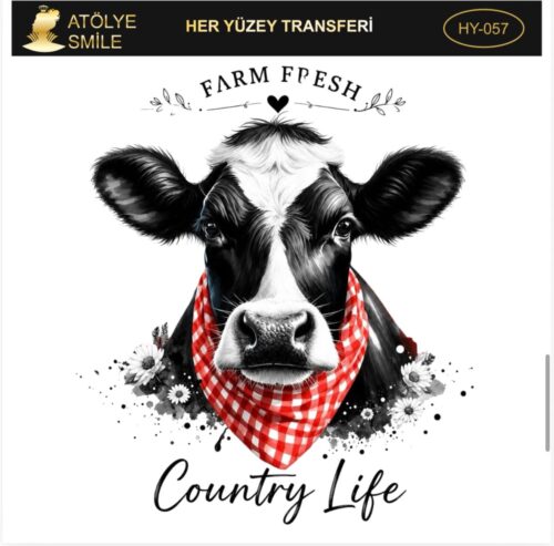 ATÖLYE SMİLE HER YÜZEY TRANSFER HY-057